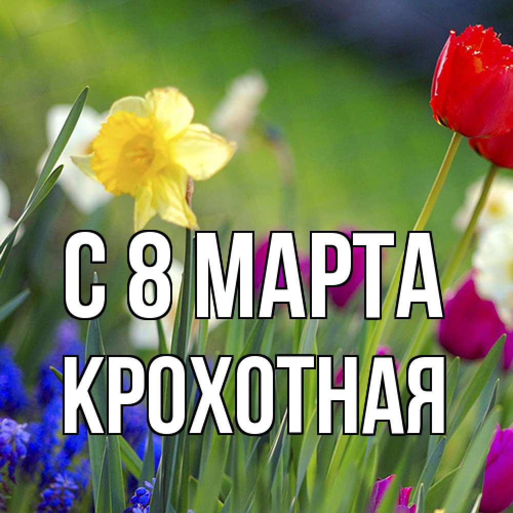 Открытка на каждый день с именем, Крохотная C 8 МАРТА международный женский день 3 Прикольная открытка с пожеланием онлайн скачать бесплатно 