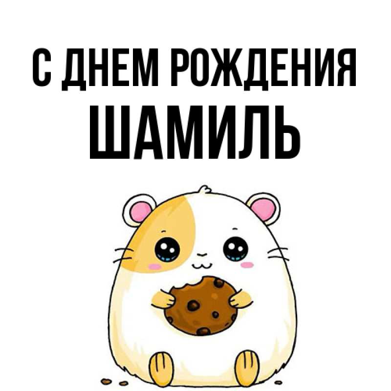 Картинка С днем рождения, Шамиль