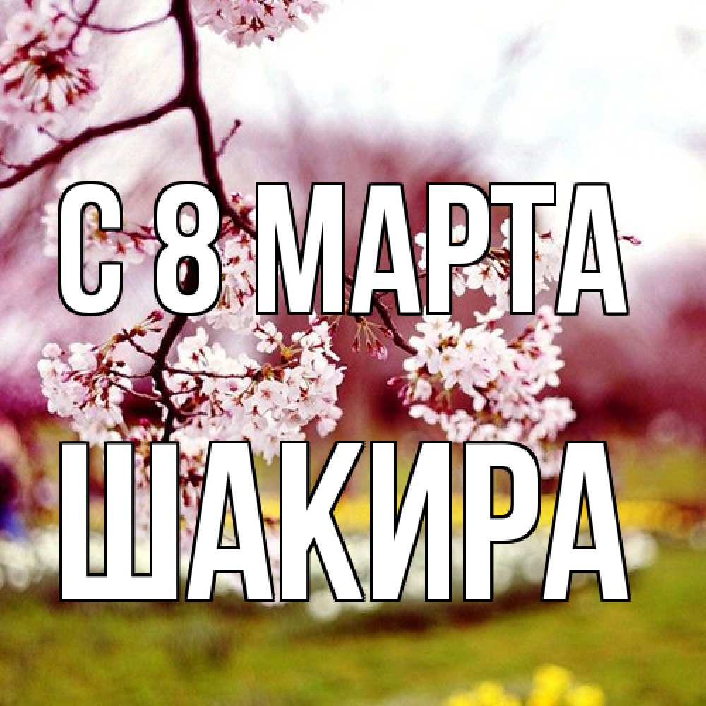Открытка на каждый день с именем, Шакира C 8 МАРТА яблоня Прикольная открытка с пожеланием онлайн скачать бесплатно 