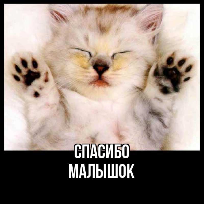 Картинка Спасибо, малышок