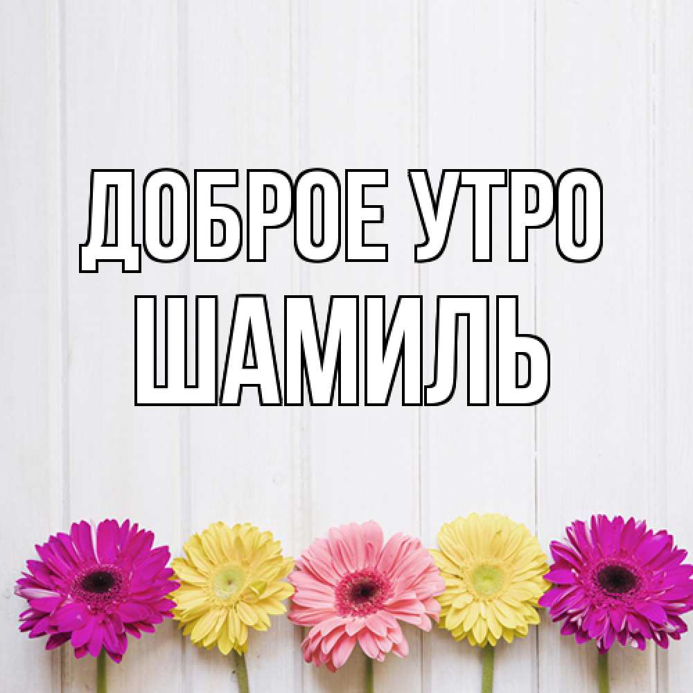 Открытка на каждый день с именем, Шамиль Доброе утро красный желтый и розовый цветок Прикольная открытка с пожеланием онлайн скачать бесплатно 