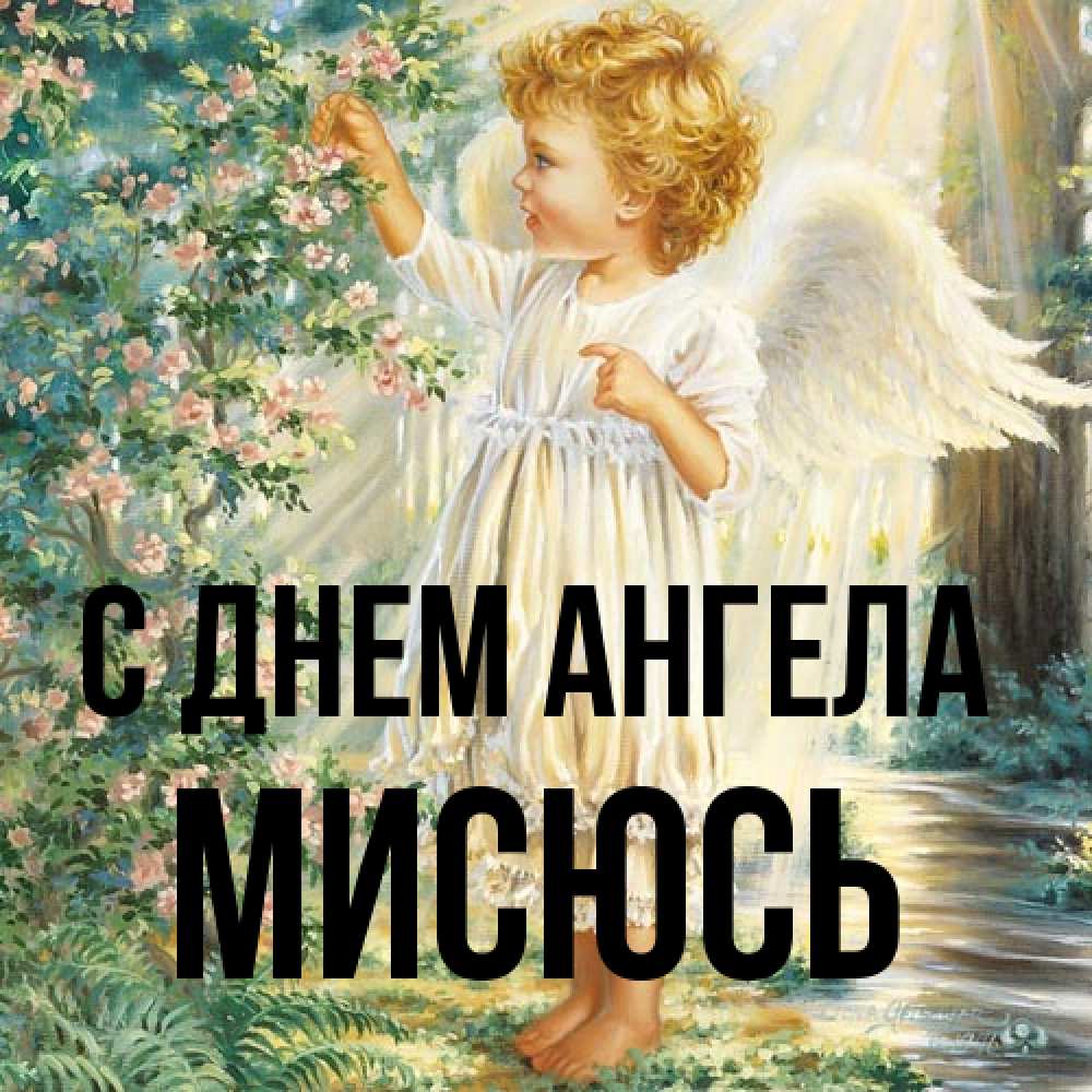 Открытка на каждый день с именем, мисюсь С днем ангела собирает цветы Прикольная открытка с пожеланием онлайн скачать бесплатно 