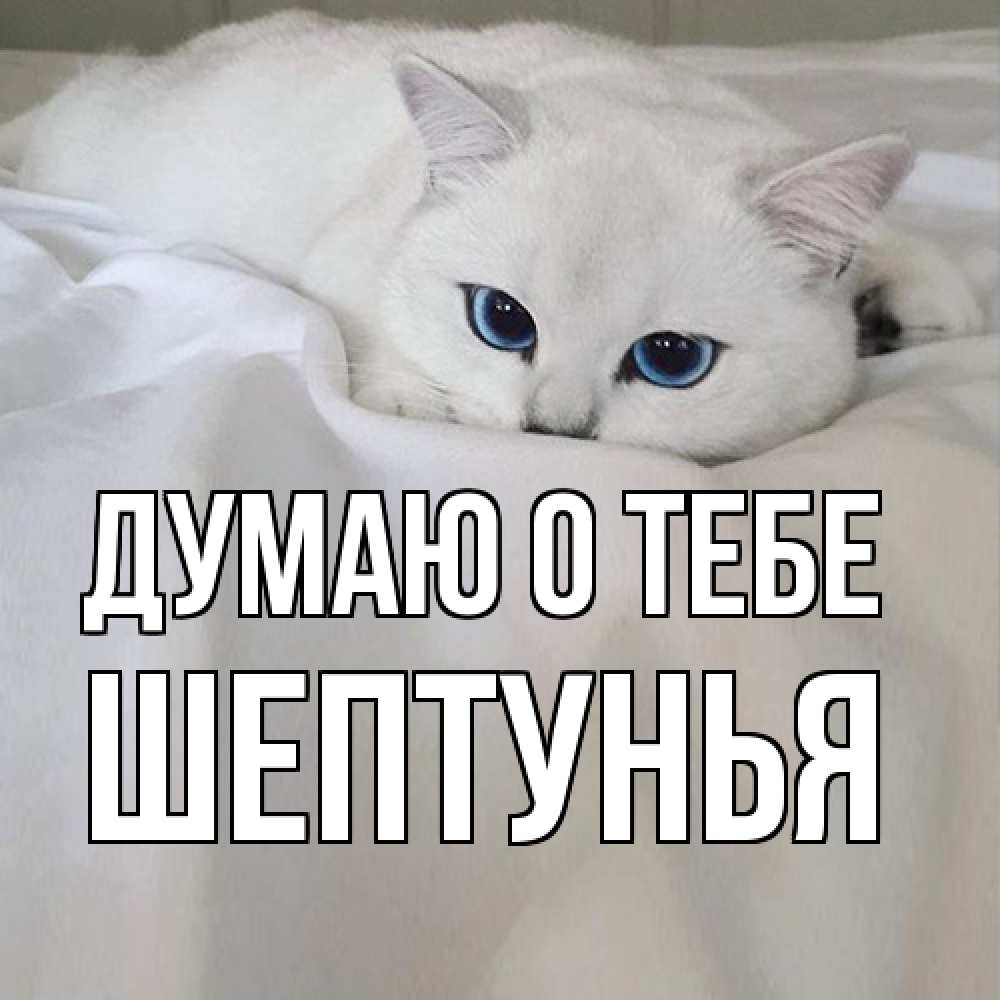 Открытка на каждый день с именем, Шептунья Думаю о тебе я очень по тебе скучаю и тоскую Прикольная открытка с пожеланием онлайн скачать бесплатно 