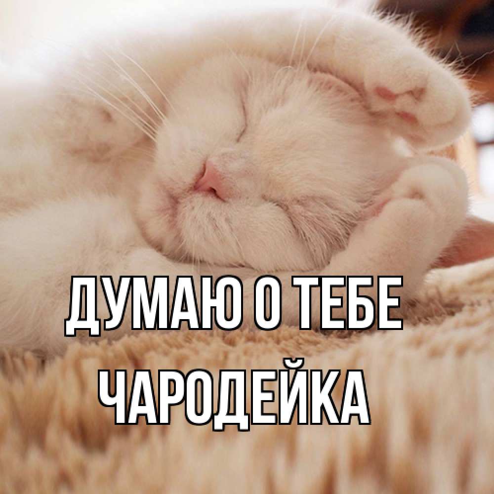Открытка на каждый день с именем, Чаpодейка Думаю о тебе для любимой девушки милота Прикольная открытка с пожеланием онлайн скачать бесплатно 