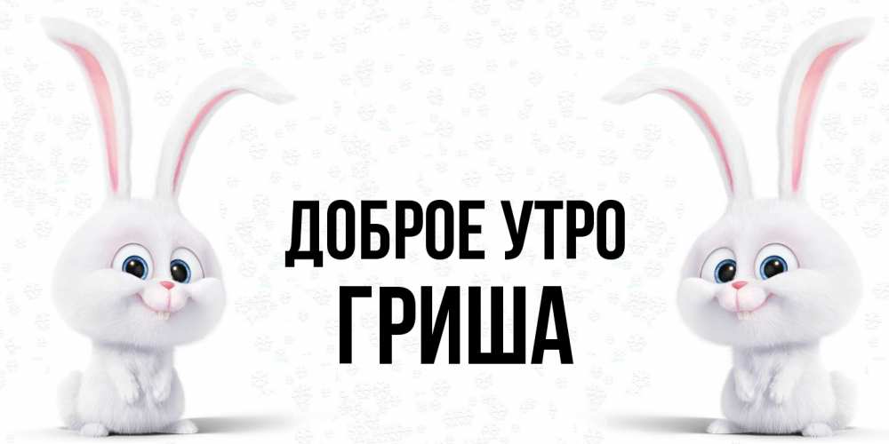 Открытка на каждый день с именем, Гриша Доброе утро кролики с длинными ушками Прикольная открытка с пожеланием онлайн скачать бесплатно 