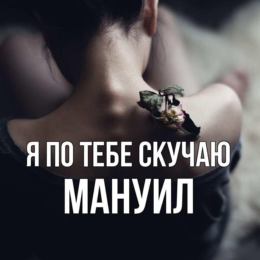 Открытка на каждый день с именем, Мануил Я по тебе скучаю засох цветок Прикольная открытка с пожеланием онлайн скачать бесплатно 