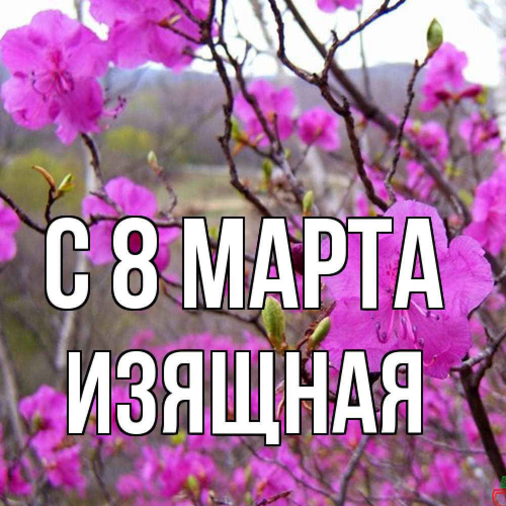 Открытка на каждый день с именем, Изящная C 8 МАРТА международный женский день Прикольная открытка с пожеланием онлайн скачать бесплатно 