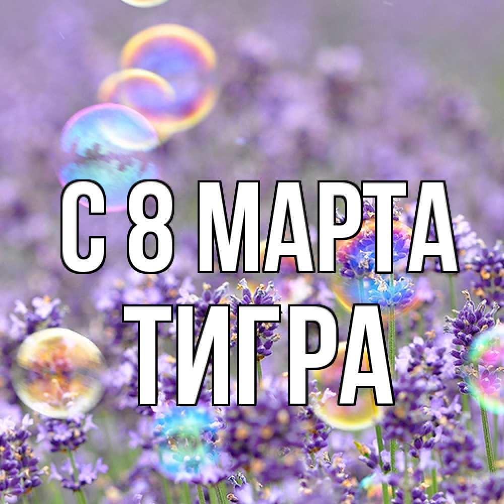 Открытка на каждый день с именем, Тигpа C 8 МАРТА цветы Прикольная открытка с пожеланием онлайн скачать бесплатно 