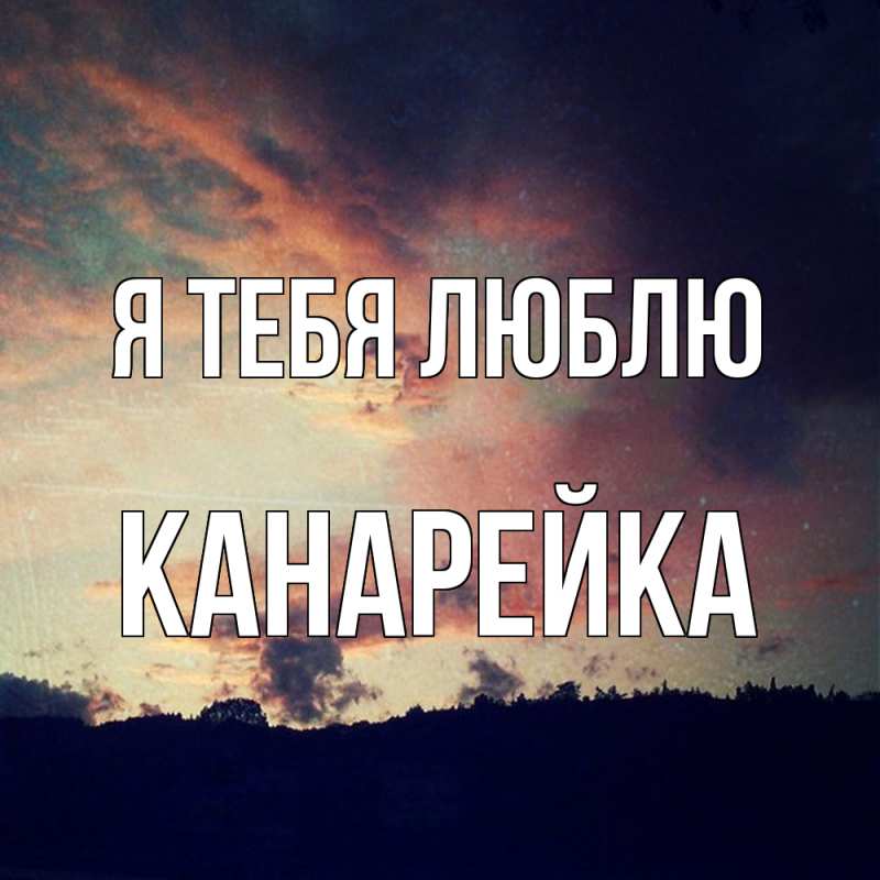 Картинка Я тебя люблю, Канарейка