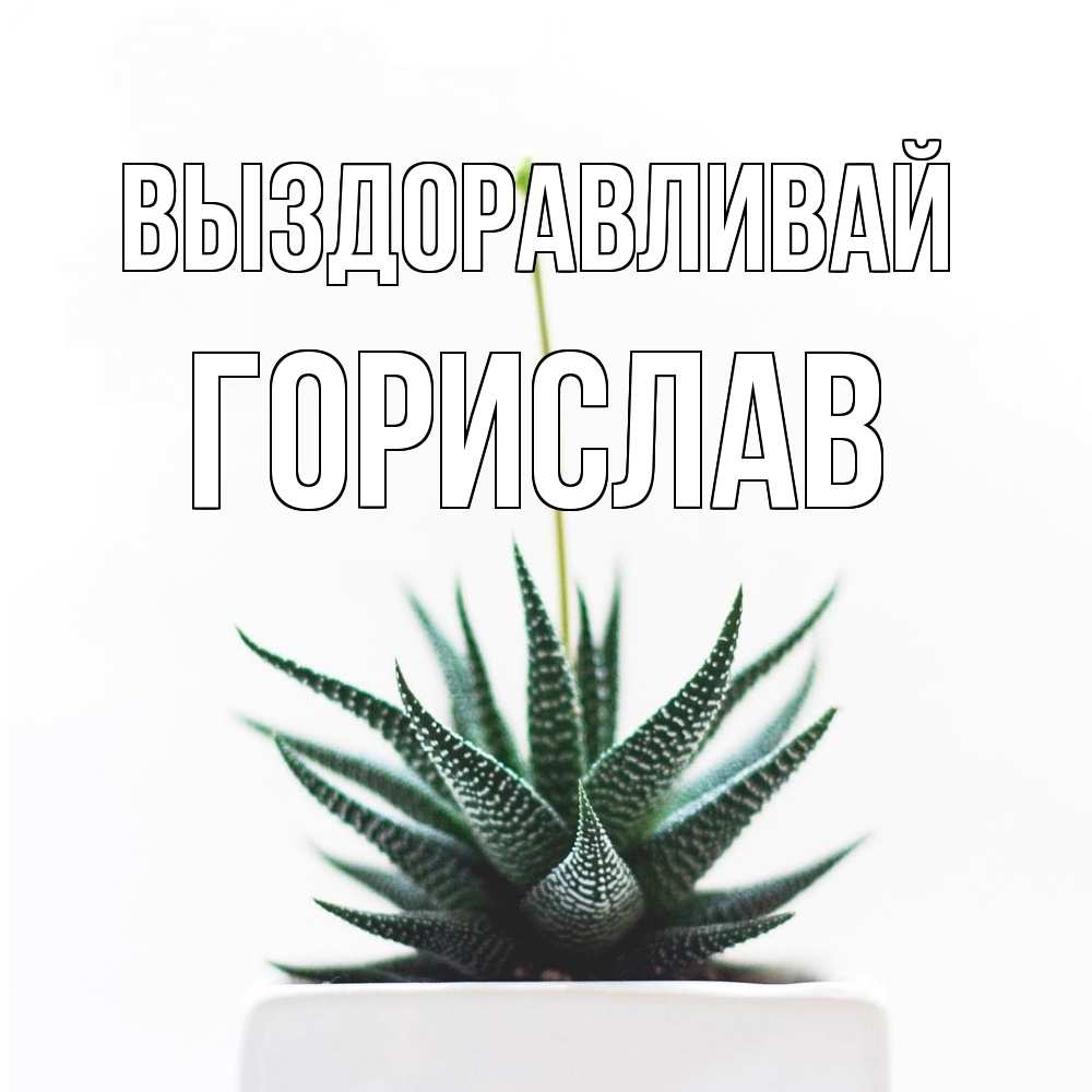 Открытка на каждый день с именем, Горислав Выздоравливай короче это непонятная колючка Прикольная открытка с пожеланием онлайн скачать бесплатно 