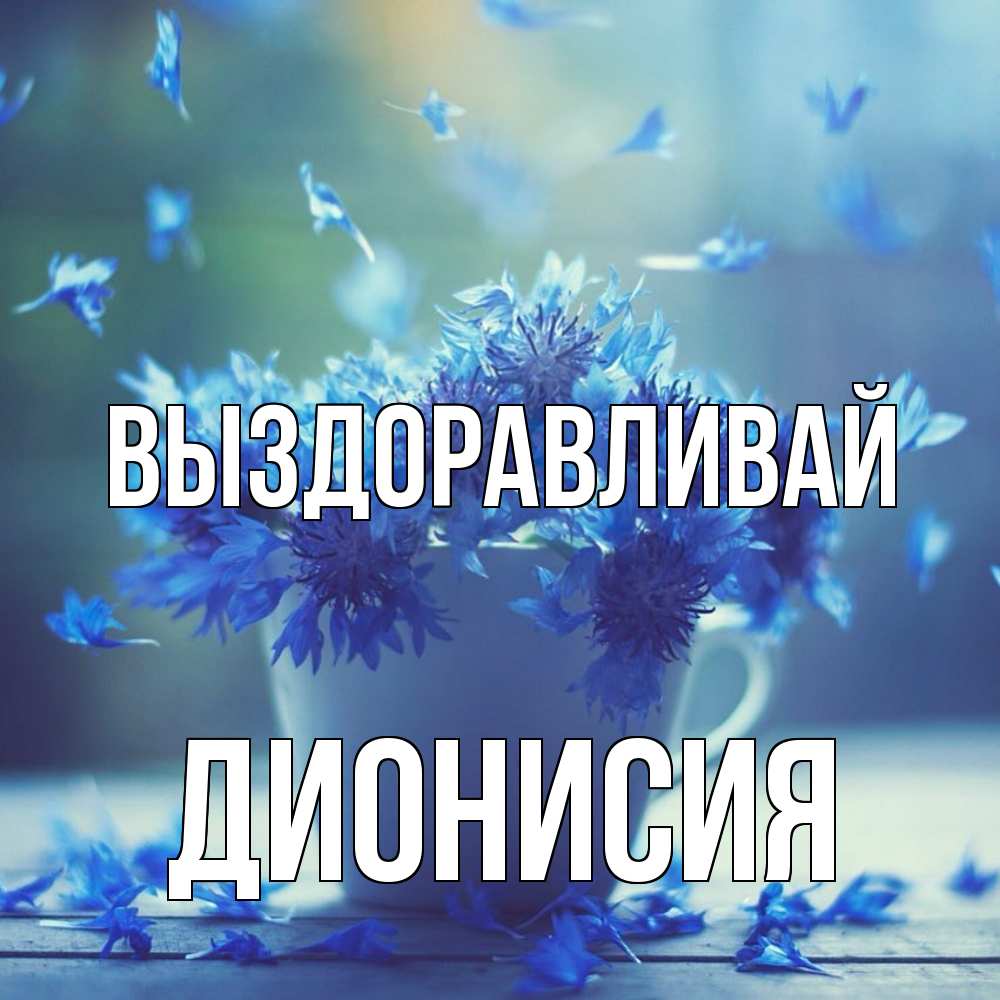 Открытка на каждый день с именем, Дионисия Выздоравливай кружка с зельем и цветами Прикольная открытка с пожеланием онлайн скачать бесплатно 