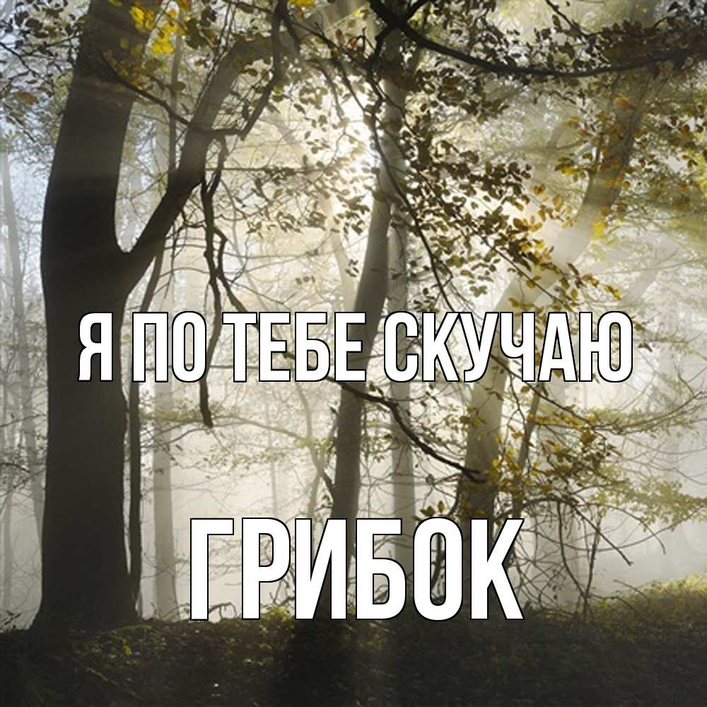 Открытка на каждый день с именем, Грибок Я по тебе скучаю грустно Прикольная открытка с пожеланием онлайн скачать бесплатно 