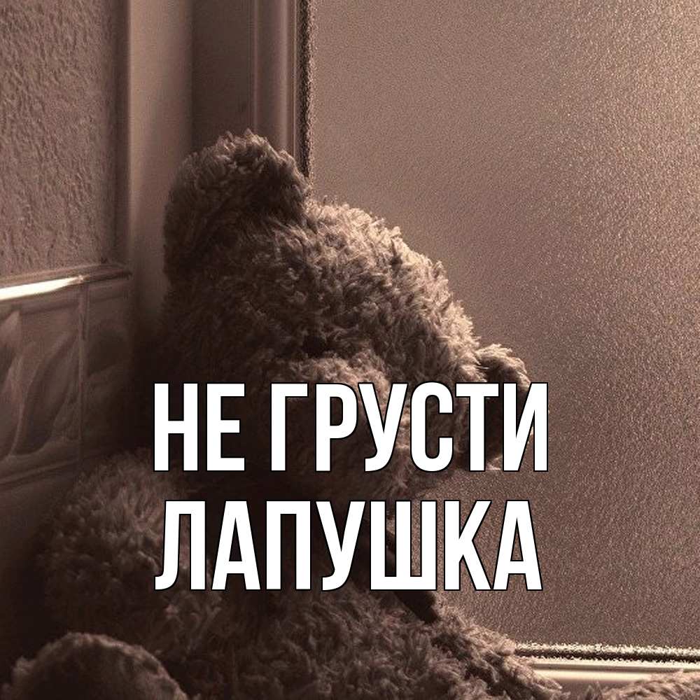 Открытка на каждый день с именем, лапушка Не грусти стекол рефленое Прикольная открытка с пожеланием онлайн скачать бесплатно 