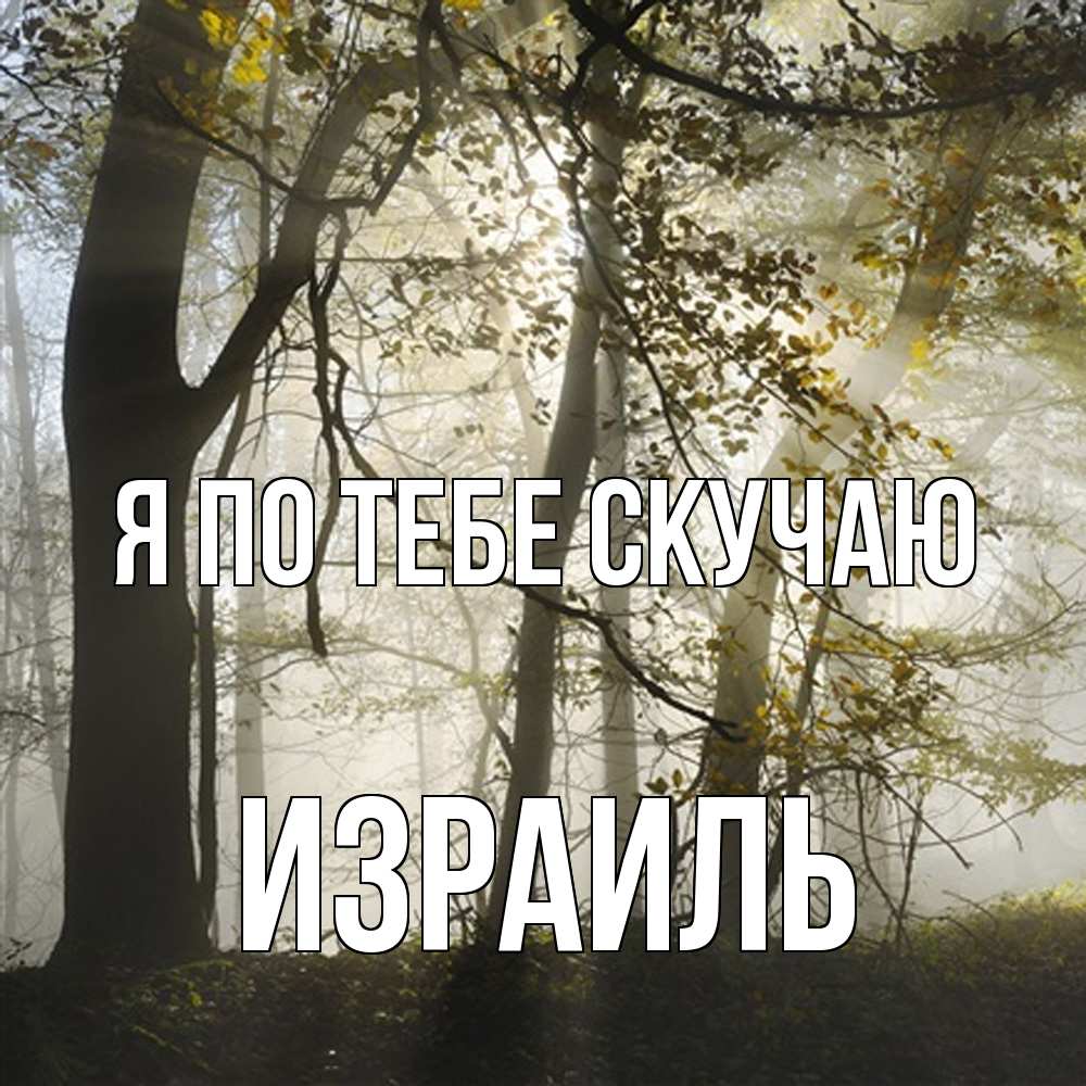 Открытка на каждый день с именем, Израиль Я по тебе скучаю грустно Прикольная открытка с пожеланием онлайн скачать бесплатно 