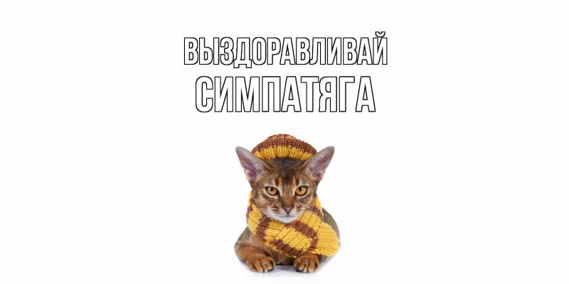 Картинка Выздоравливай, Симпатяга