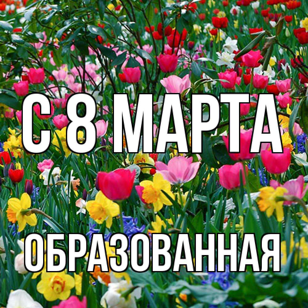 Открытка на каждый день с именем, Образованная C 8 МАРТА с международным женским днем поздравления для женщины Прикольная открытка с пожеланием онлайн скачать бесплатно 