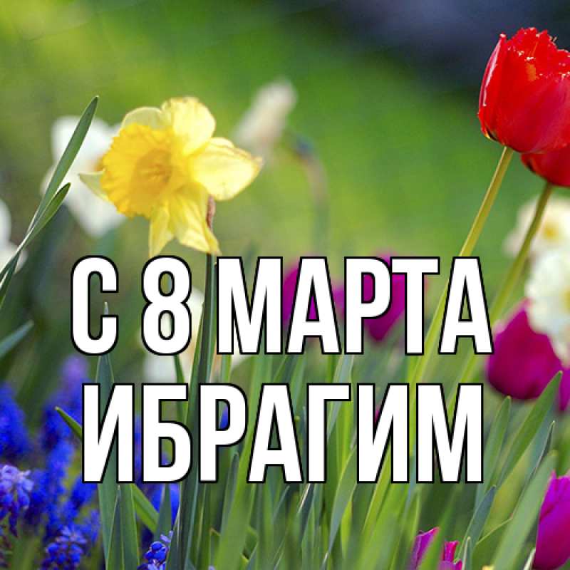 Картинка C 8 МАРТА, Ибрагим