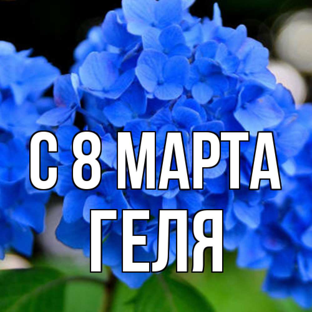 Открытка на каждый день с именем, Геля C 8 МАРТА синие цветы Прикольная открытка с пожеланием онлайн скачать бесплатно 