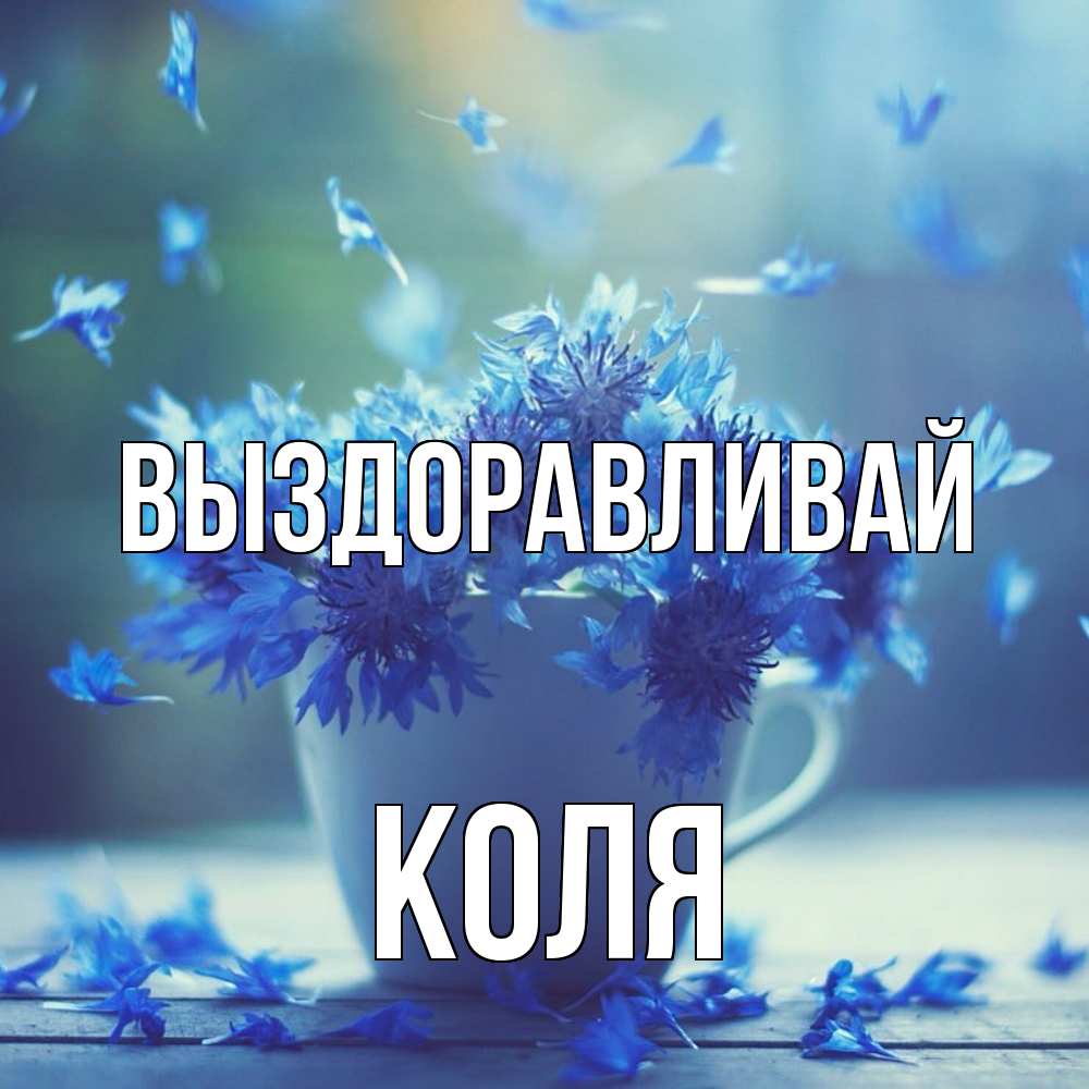 Открытка на каждый день с именем, Коля Выздоравливай кружка с зельем и цветами Прикольная открытка с пожеланием онлайн скачать бесплатно 