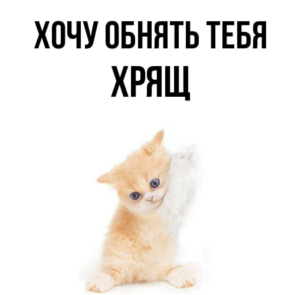 Открытка на каждый день с именем, Хрящ Хочу обнять тебя я хочу очень скорее обнимаешек Прикольная открытка с пожеланием онлайн скачать бесплатно 