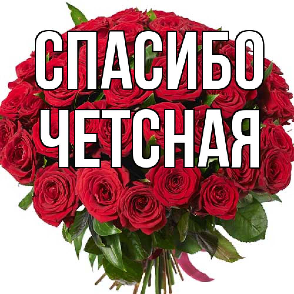 Открытка на каждый день с именем, Четсная Спасибо букет красных роз Прикольная открытка с пожеланием онлайн скачать бесплатно 