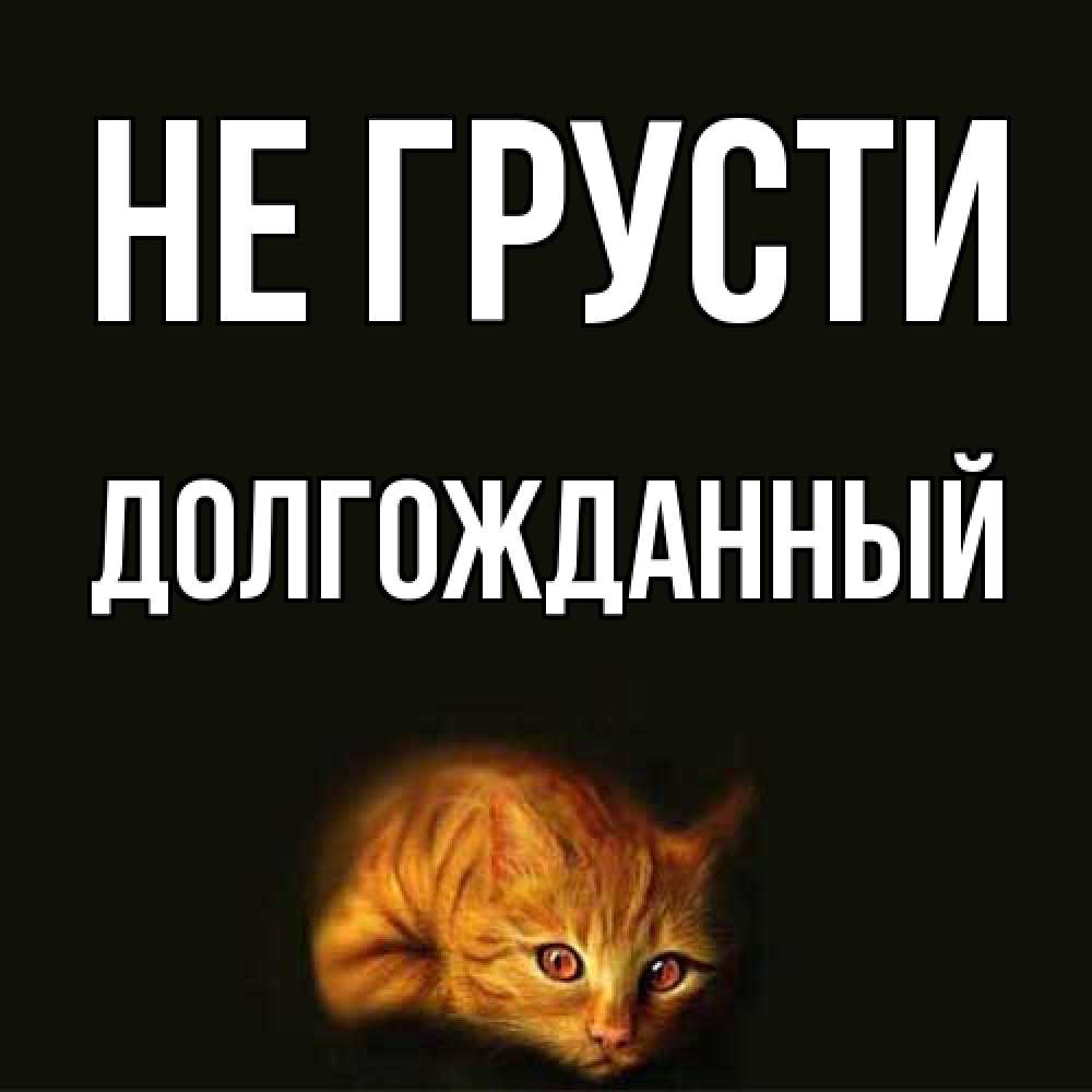 Открытка на каждый день с именем, Долгожданный Не грусти лежащий кот в темноте Прикольная открытка с пожеланием онлайн скачать бесплатно 