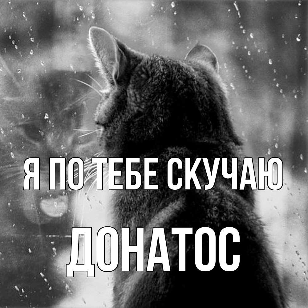 Открытка на каждый день с именем, Донатос Я по тебе скучаю скорее ко мне приходи 1 Прикольная открытка с пожеланием онлайн скачать бесплатно 