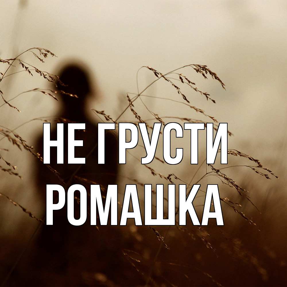 Открытка на каждый день с именем, Ромашка Не грусти грусть Прикольная открытка с пожеланием онлайн скачать бесплатно 