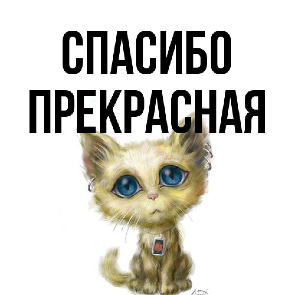 Открытка на каждый день с именем, Прекрасная Спасибо рисованный кот благодарит вас Прикольная открытка с пожеланием онлайн скачать бесплатно 
