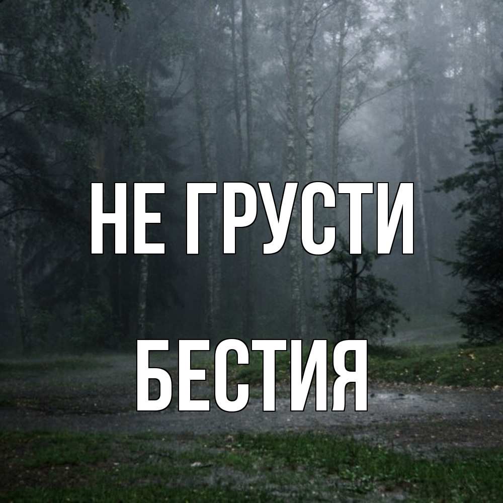 Открытка на каждый день с именем, Бестия Не грусти осень Прикольная открытка с пожеланием онлайн скачать бесплатно 