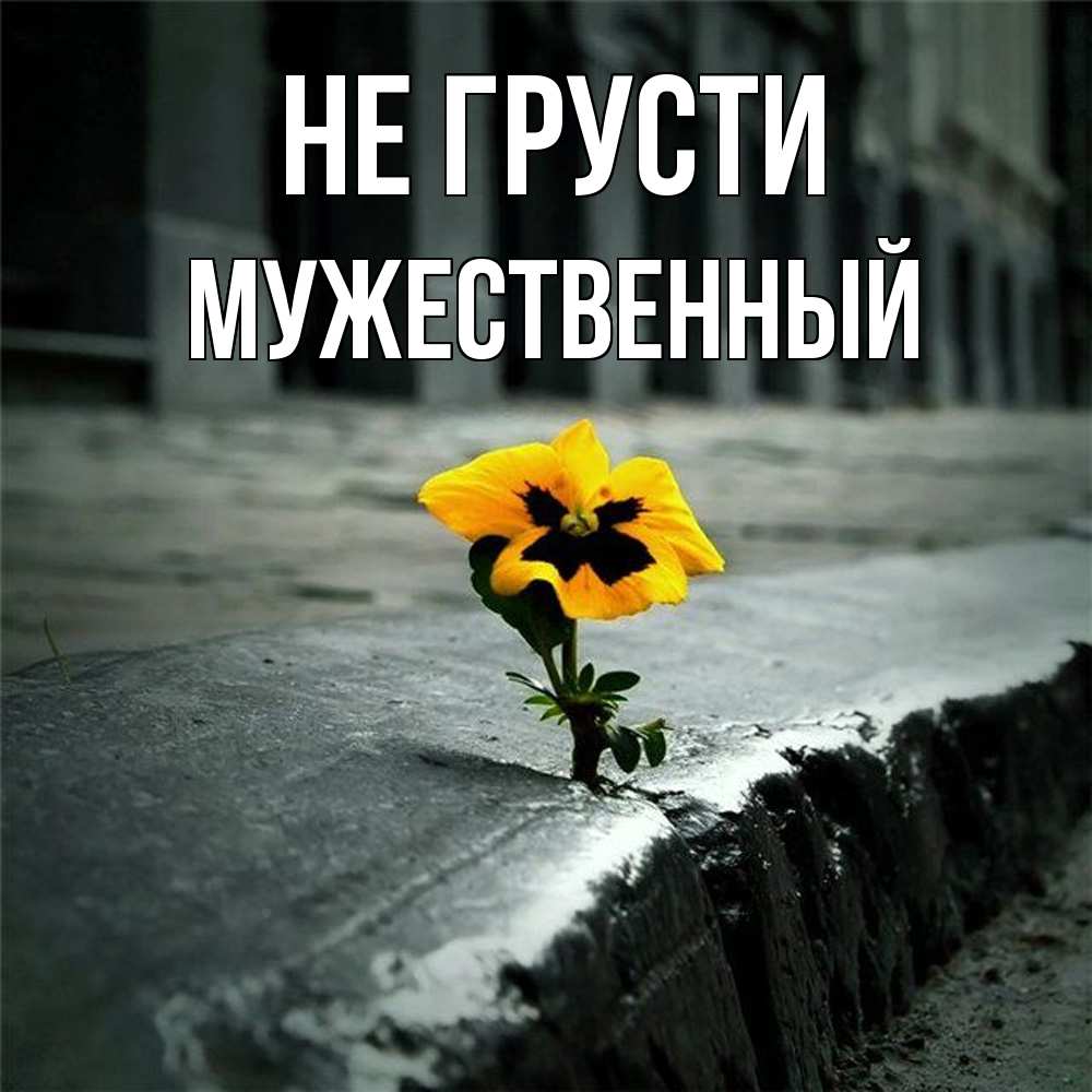 Открытка на каждый день с именем, Мужественный Не грусти не сдавайся Прикольная открытка с пожеланием онлайн скачать бесплатно 