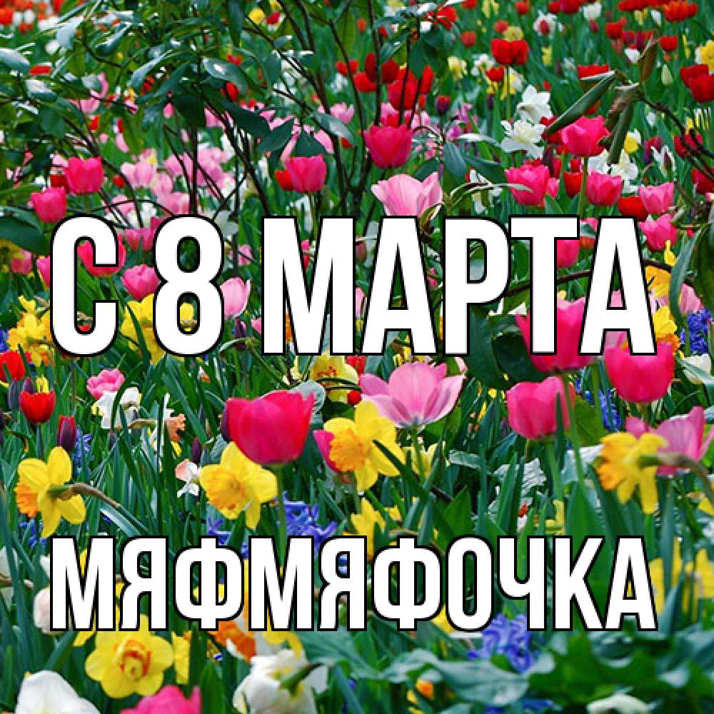 Открытка на каждый день с именем, мяфмяфочка C 8 МАРТА с международным женским днем поздравления для женщины Прикольная открытка с пожеланием онлайн скачать бесплатно 