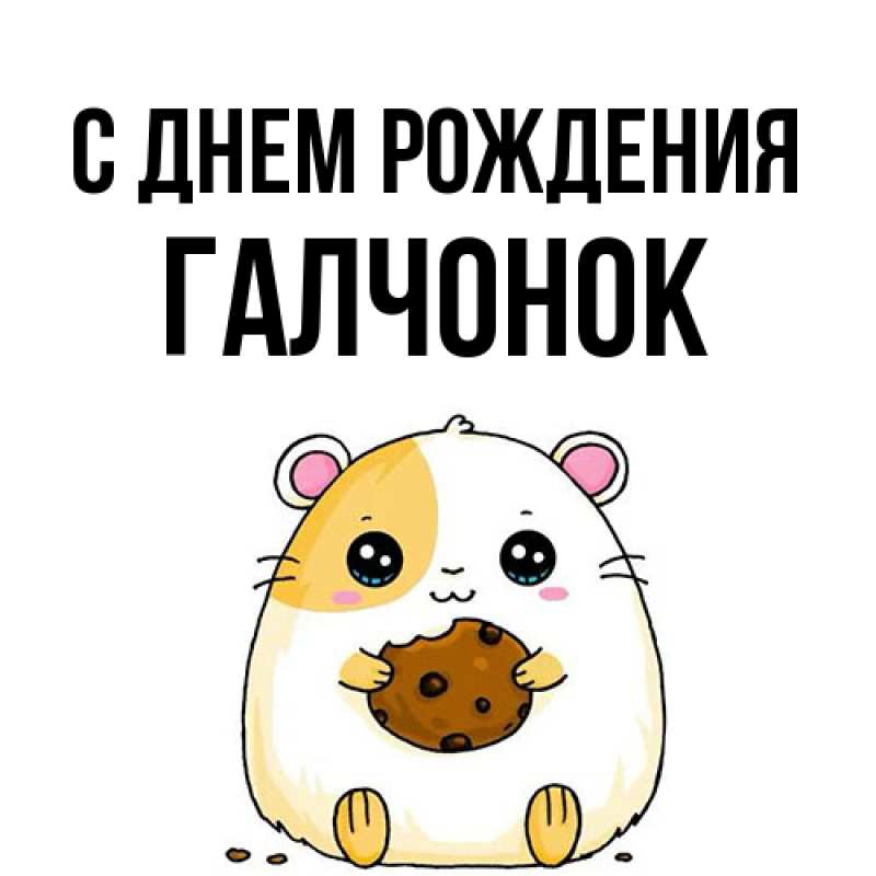Картинка С днем рождения, галчонок