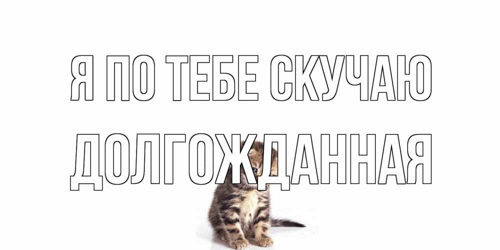 Открытка на каждый день с именем, Долгожданная Я по тебе скучаю кот Прикольная открытка с пожеланием онлайн скачать бесплатно 