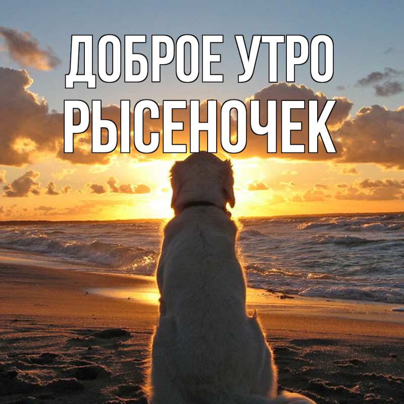 Картинка Доброе утро, Рысеночек