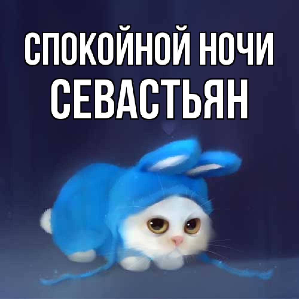 Открытка на каждый день с именем, Севастьян Спокойной ночи кот в голубом костюме кролика с ушками Прикольная открытка с пожеланием онлайн скачать бесплатно 