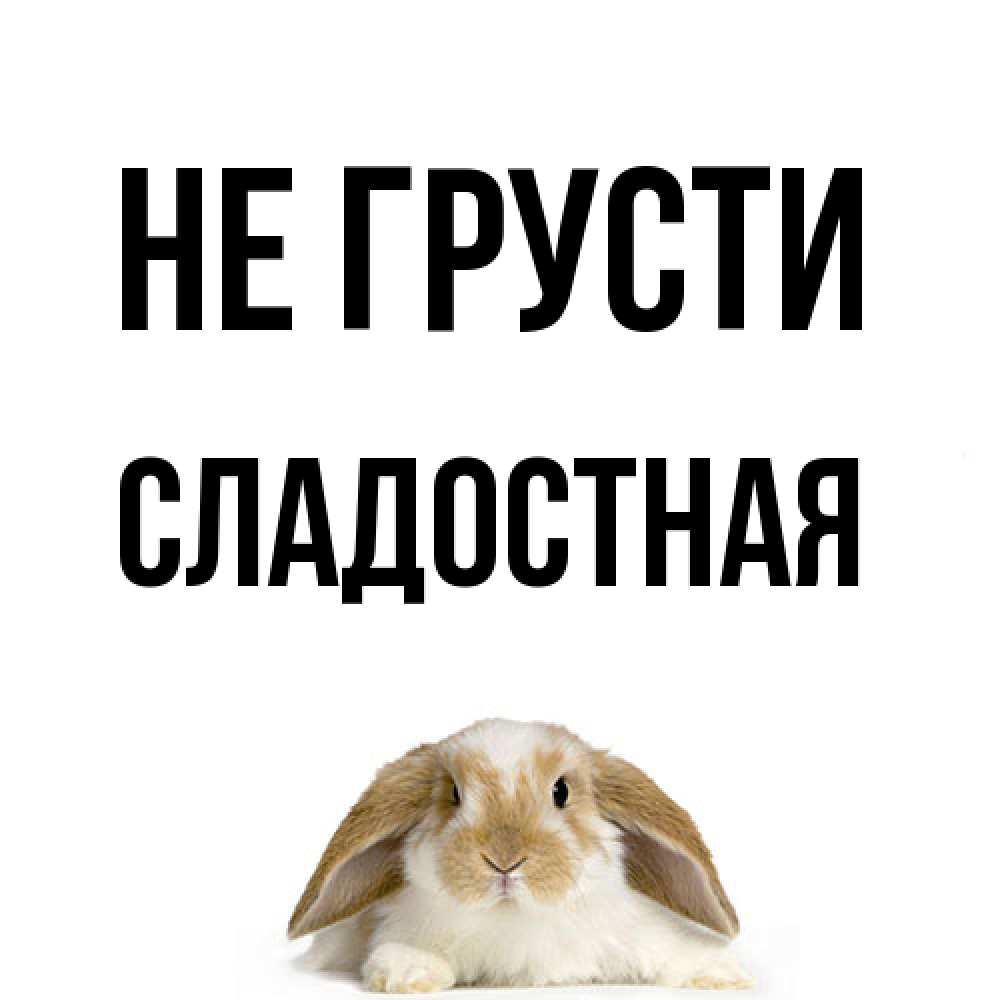 Открытка на каждый день с именем, Сладостная Не грусти коричнево белый заяц с большими ушками Прикольная открытка с пожеланием онлайн скачать бесплатно 