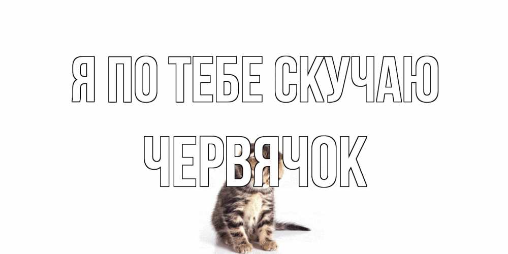 Открытка на каждый день с именем, Червячок Я по тебе скучаю кот Прикольная открытка с пожеланием онлайн скачать бесплатно 