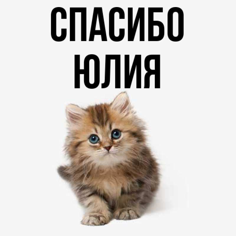 Картинка Спасибо, Юлия