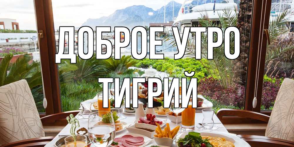 Открытка на каждый день с именем, Тигрий Доброе утро тропическое утро Прикольная открытка с пожеланием онлайн скачать бесплатно 