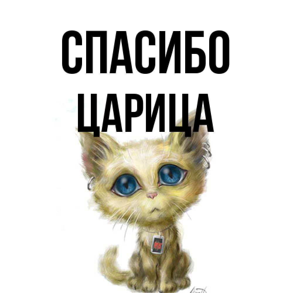 Открытка на каждый день с именем, Царица Спасибо рисованный кот благодарит вас Прикольная открытка с пожеланием онлайн скачать бесплатно 
