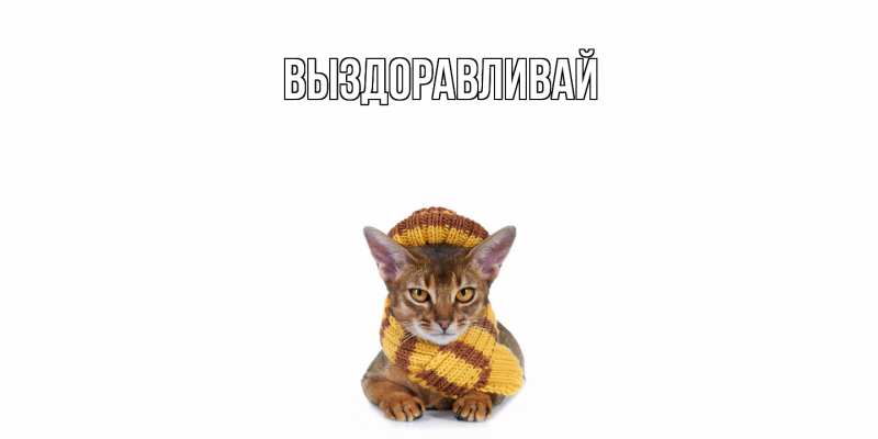 Картинка Выздоравливай, 