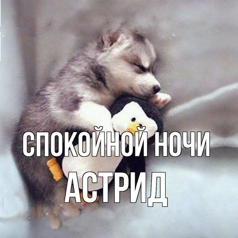 Картинка Спокойной ночи, Астрид