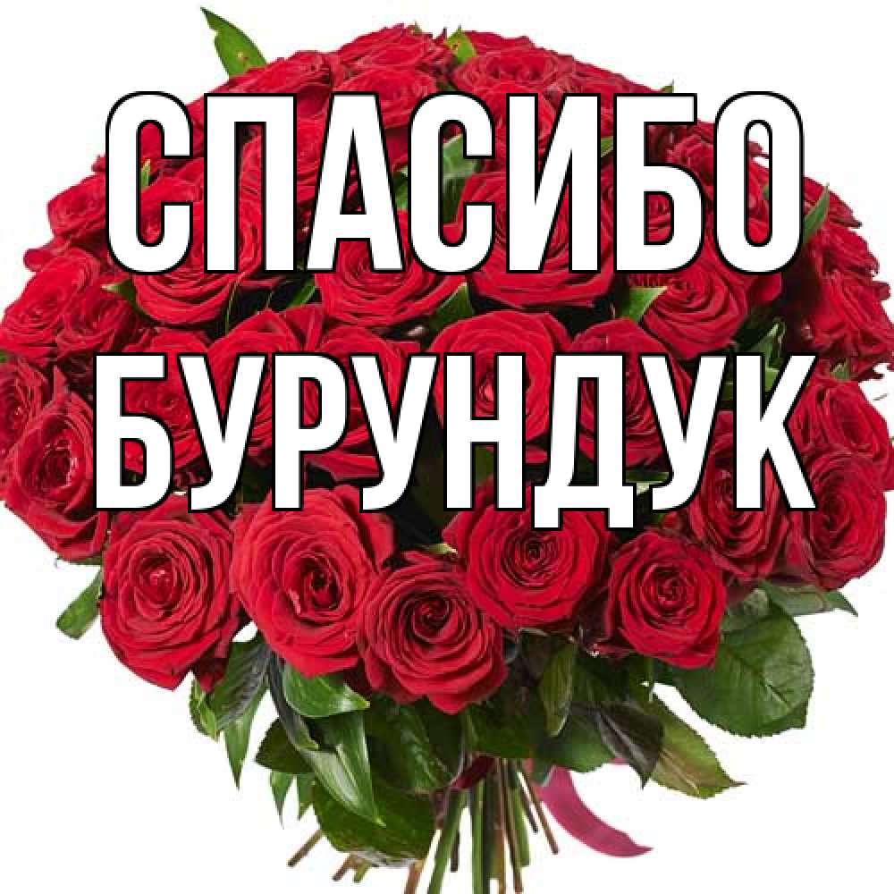 Открытка на каждый день с именем, Бурундук Спасибо букет красных роз Прикольная открытка с пожеланием онлайн скачать бесплатно 