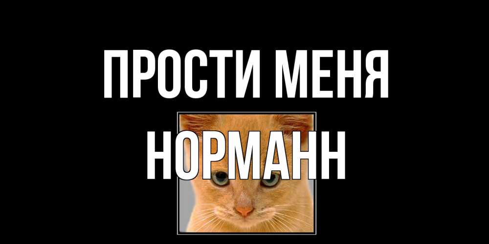 Открытка на каждый день с именем, Норманн Прости меня рыжий грустный кот просит прощения Прикольная открытка с пожеланием онлайн скачать бесплатно 