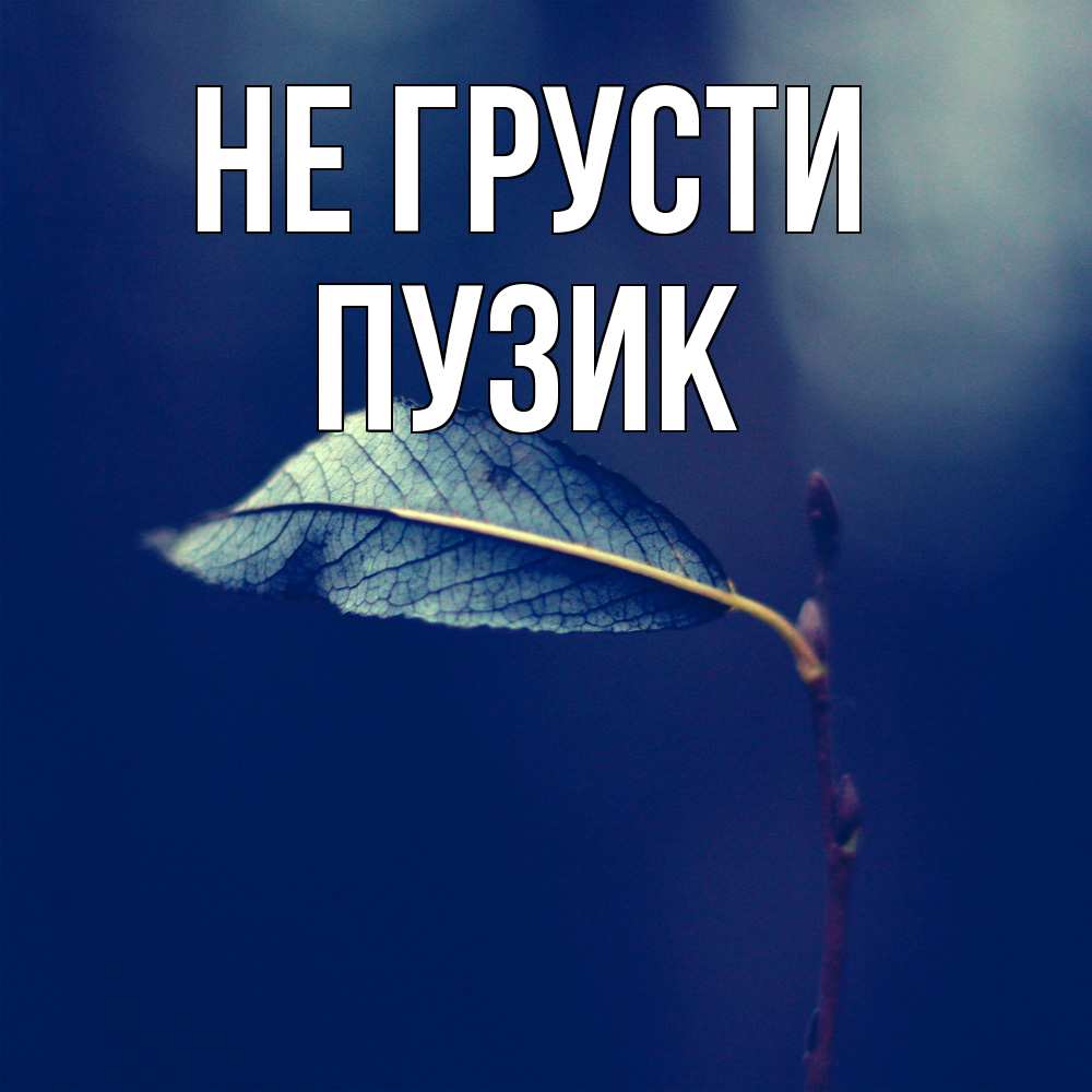 Открытка на каждый день с именем, Пузик Не грусти растение Прикольная открытка с пожеланием онлайн скачать бесплатно 