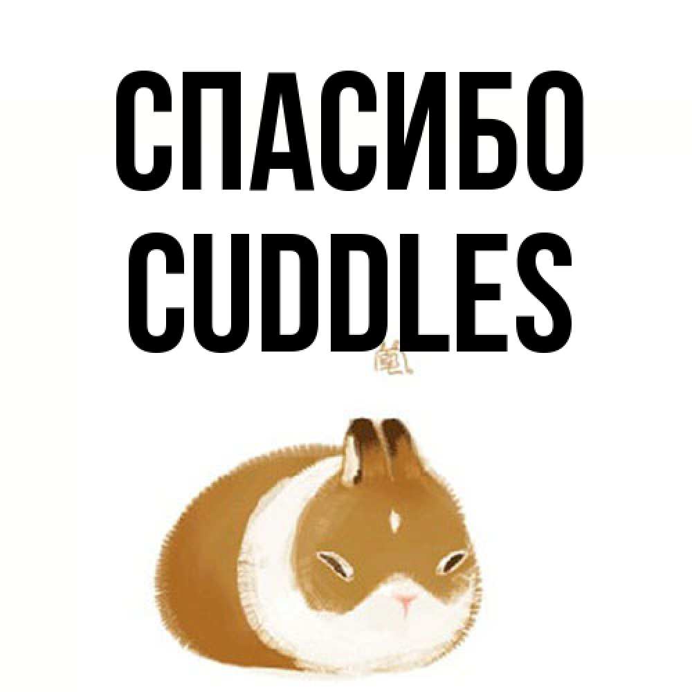 Открытка на каждый день с именем, Cuddles Спасибо коричнево белый домашний питомец Прикольная открытка с пожеланием онлайн скачать бесплатно 