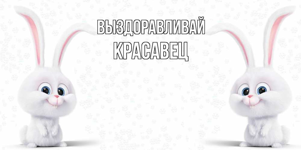 Открытка на каждый день с именем, Красавец Выздоравливай не болей с зайцем Прикольная открытка с пожеланием онлайн скачать бесплатно 