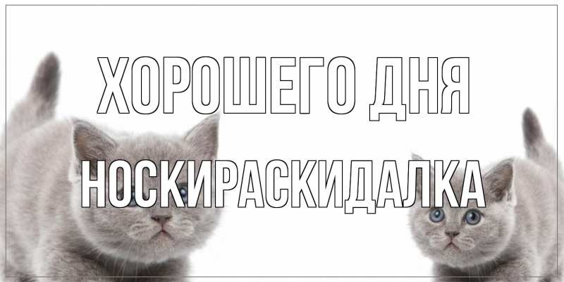 Картинка Хорошего дня, Носкираскидалка