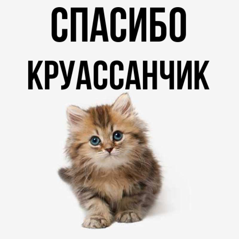 Картинка Спасибо, круассанчик